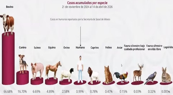 El gusano barrenador del ganado. Resumen 2025-2026 - Image 18