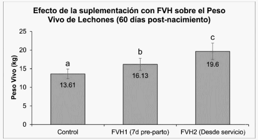 EFECTO DE LA SUPLEMENTACIÓN CON FORRAJE VERDE HIDROPÓNICO DURANTE LA GESTACIÓN Y LA LACTANCIA - Image 1