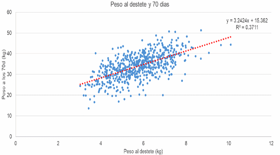 Evaluación del impacto del peso al nacimiento y destete en el desempeño de crecimiento hasta la faena, en cerdos de línea Pic en Granja Yvate - Image 1