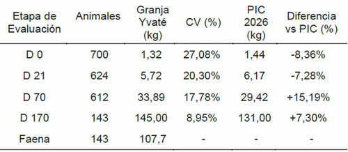 Evaluación del impacto del peso al nacimiento y destete en el desempeño de crecimiento hasta la faena, en cerdos de línea Pic en Granja Yvate - Image 3