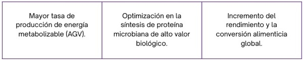 ¿Qué es el modulador ruminal? - Image 1