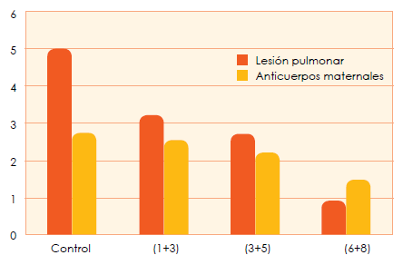 Catabolismo de los anticuerpos maternales y duración de la inmunidad vacunal de las bacterinas contra Mycoplasma hyopneumoniae en cerdos - Image 8