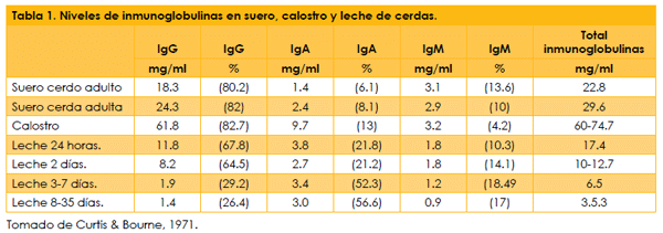 Catabolismo de los anticuerpos maternales y duración de la inmunidad vacunal de las bacterinas contra Mycoplasma hyopneumoniae en cerdos - Image 2