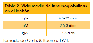 Catabolismo de los anticuerpos maternales y duración de la inmunidad vacunal de las bacterinas contra Mycoplasma hyopneumoniae en cerdos - Image 3