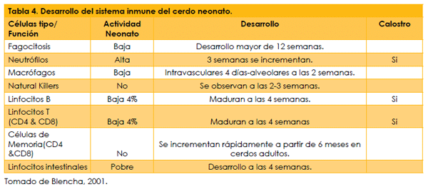 Catabolismo de los anticuerpos maternales y duración de la inmunidad vacunal de las bacterinas contra Mycoplasma hyopneumoniae en cerdos - Image 6