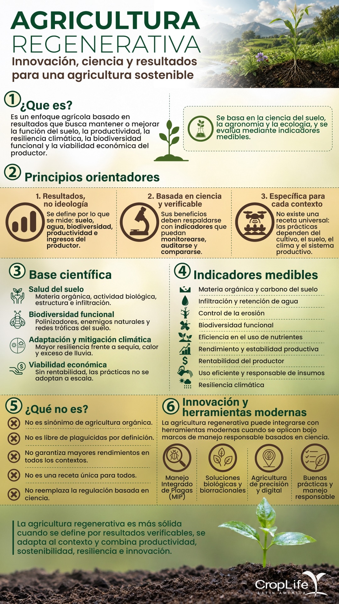 Agricultura regenerativa: innovación, ciencia y resultados para una agricultura sostenible - Image 4