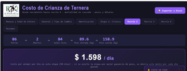 Costo de criar una ternera Holando - Image 4