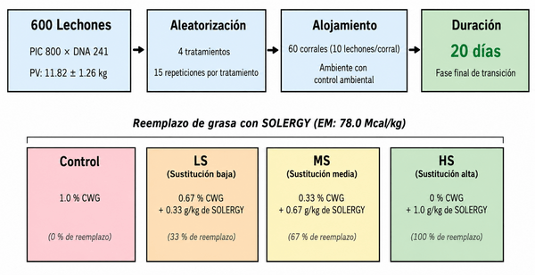 Sustitución de la grasa en la alimentación de lechones en fase final de destete por un gluconeogénico y fitogénico - Image 1