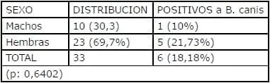 Brucelosis en criaderos caninos: seroprevalencia de 33 casos. - Image 4