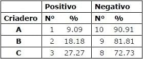 Brucelosis en criaderos caninos: seroprevalencia de 33 casos. - Image 2