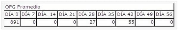 Primera Descripción del Uso del Toltrazuril para la Prevención de Brotes de Coccidiosis en Criaderos Felinos - Image 1