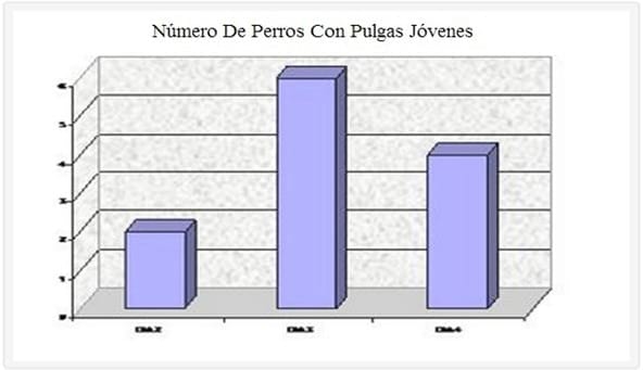 Dinámica de la Eficacia de Metaflumisona contra una Severa Infestación Natural de Pulgas Ctenocephalides Felis en Caninos Alojados en un Ambiente Favorable. - Image 4