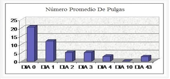 Dinámica de la Eficacia de Metaflumisona contra una Severa Infestación Natural de Pulgas Ctenocephalides Felis en Caninos Alojados en un Ambiente Favorable. - Image 2