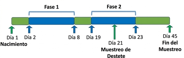 Efecto de la suplementación neonatal con solución hipertónica sobre el desempeño de los lechones desde el nacimiento hasta los 45 días posdestete - Image 1