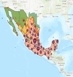 Apertura de frontera a Estados Unidos para ganado en pie por Sonora - Image 63