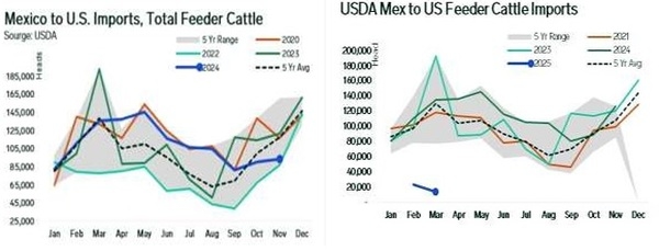 Apertura de frontera a Estados Unidos para ganado en pie por Sonora - Image 1