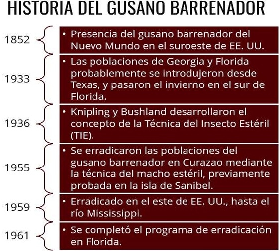 Apertura de frontera a Estados Unidos para ganado en pie por Sonora - Image 7