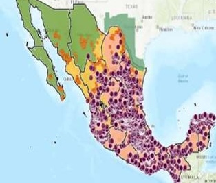Apertura de frontera a Estados Unidos para ganado en pie por Sonora - Image 62