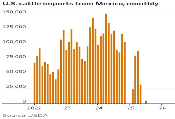 Apertura de frontera a Estados Unidos para ganado en pie por Sonora - Image 2