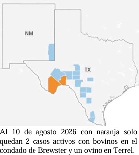 Apertura de frontera a Estados Unidos para ganado en pie por Sonora - Image 12