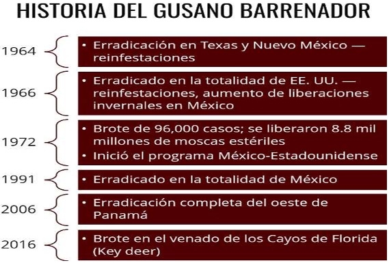 Apertura de frontera a Estados Unidos para ganado en pie por Sonora - Image 8