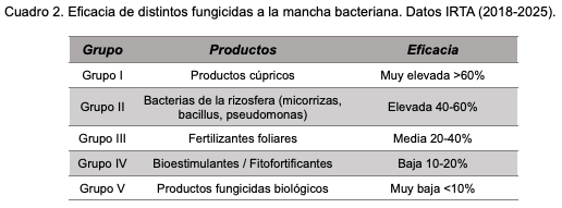 Estrategias para el manejo de la mancha bacteriana (Xanthomonas arboricola pv. pruni) en el cultivo del almendro - Image 6