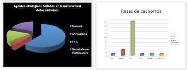 Dinámica de la Excreción de Ooquistes de Cystoisospora grupo ohioensis en Cachorros de Perro Naturalmente Infectados, Concomitantemente Afectados por Toxocara canis y/o Ancylostoma Canis. - Image 5