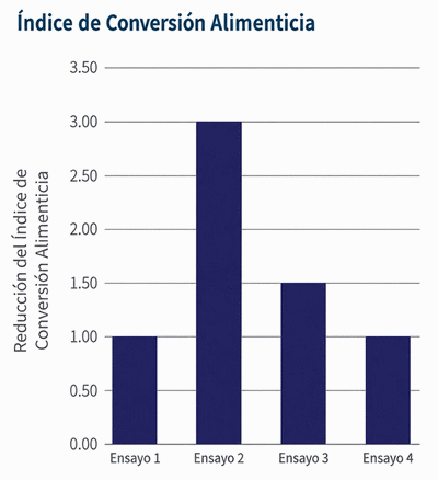 La próxima generación en producción sin antibióticos: Resultados de desempeño en pruebas de campo - Image 2