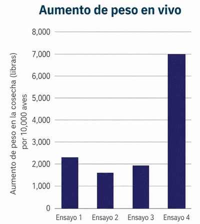 La próxima generación en producción sin antibióticos: Resultados de desempeño en pruebas de campo - Image 3