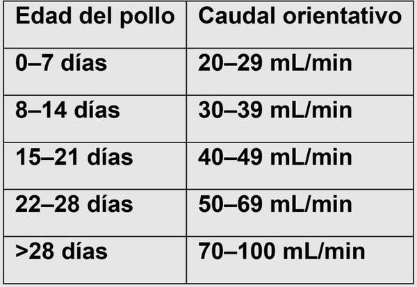 ¿CUÁNTA AGUA ENTREGA UN NIPLE?. El caudal que puede marcar la diferencia en el consumo de agua del pollo de engorde - Image 2