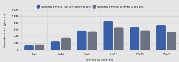 ¿Cuándo realmente gana peso el pollo? - Image 2