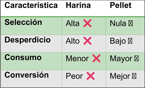 Harina vs Pellet en pollos de engorde: lo que dice la ciencia - Image 3