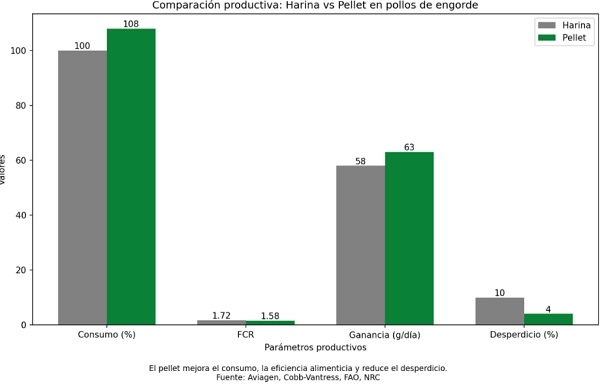 Harina vs Pellet en pollos de engorde: lo que dice la ciencia - Image 2