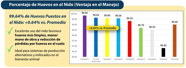 Hy-Line Brown Max: Desempeño comprobado en sistemas alternativos - Image 3