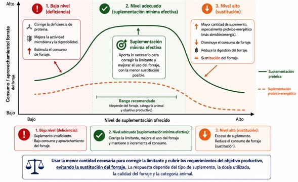 Suplementación mínima efectiva: una estrategia para hacer más eficiente el ganado en agostadero - Image 4