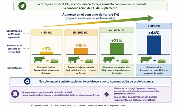Suplementación mínima efectiva: una estrategia para hacer más eficiente el ganado en agostadero - Image 3