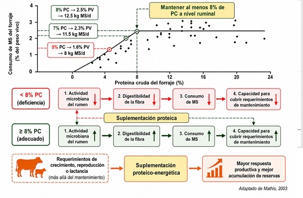 Suplementación mínima efectiva: una estrategia para hacer más eficiente el ganado en agostadero - Image 1