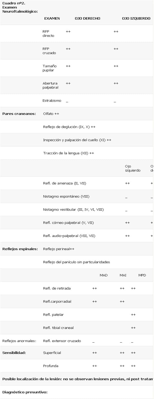 Tratamiento Tópico del Carcinoma de Células Escamosas (CCE) Cutáneo Felino en Forma Tópica con 5 Fluoruracilo (5 FU): Descripción de un Caso Clínico. - Image 8