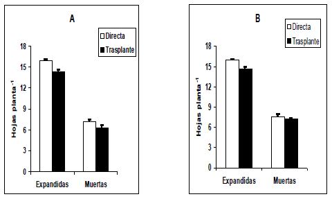 Trasplante vs. Siembra directa en maiz dulce (Zea Mays l.): Producción y utilización de fotoasimilados - Image 6