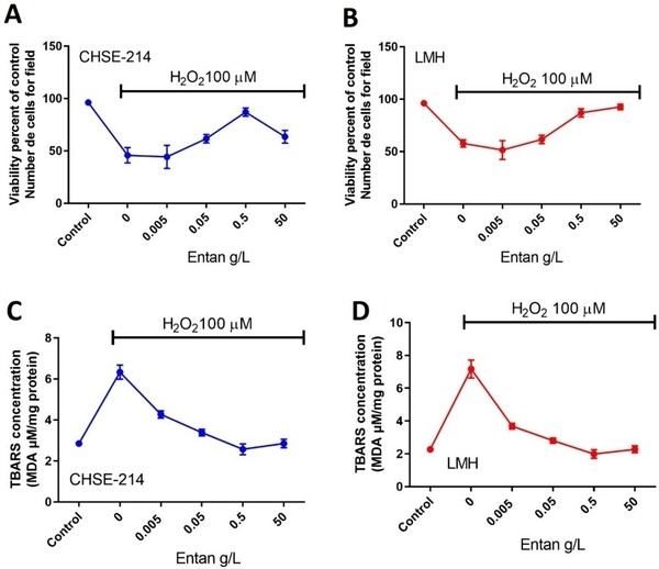 Polifenoles de uva en nutrición animal: más resiliencia frente al estrés oxidativo - Image 2