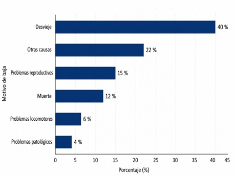 Cerdas al límite: nutrición y longevidad ante el aumento de la mortalidad - Image 2