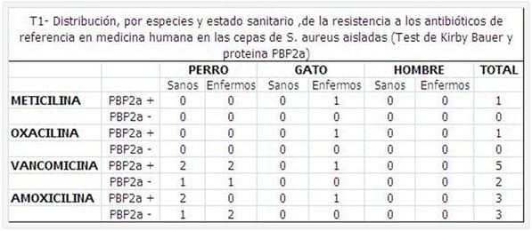 Staphylococcus aureus Resistentes a Meticilina (MRSA) y a otros ß-lactámicos en Animales de Compañía (perro y gato); Aproximación a la Situación Actual y al Riesgo para la Salud Pública. - Image 1
