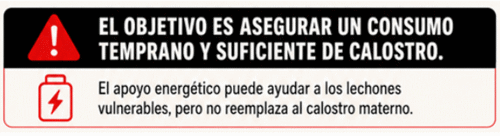 Calostro: las primeras horas que definen toda la vida del lechón. Los factores que determinan su calidad y su consumo - Parte II - Image 3