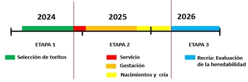 Parásitos gastrointestinales de los bovinos: selección de toritos con resistencia natural y heredabilidad del carácter a la progenie - Image 1