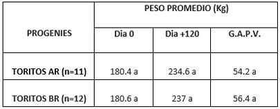 Parásitos gastrointestinales de los bovinos: selección de toritos con resistencia natural y heredabilidad del carácter a la progenie - Image 12