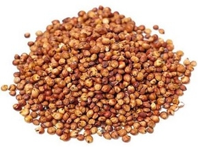 Desarrollo de modelos de calibración NIRS para la predicción de deoxinivalenol y zearalenona en sorgo - Image 1