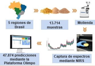 Monitoreo de micotoxinas en los principales ingredientes de alimentos para aves en Brasil: uso de NIRS como herramienta de predicción - Image 1