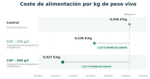 Más allá de la energía formulada: estrategia gluconeogénica-fitogénica en pollos de engorde - Image 2