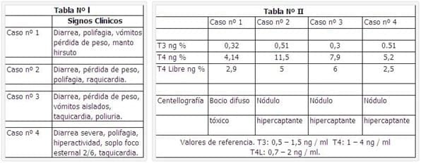Diarrea Malasimilativa por Hipertiroidismo en el Gato. Reporte de 4 casos. - Image 2