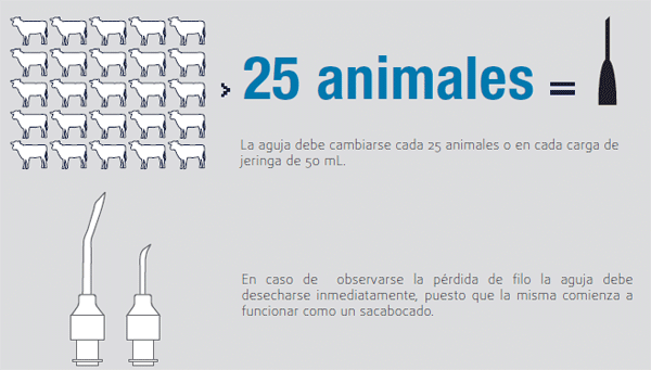 Fiebre Aftosa, guía sobre buenas prácticas de vacunación - Image 6